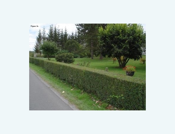 Photo 0