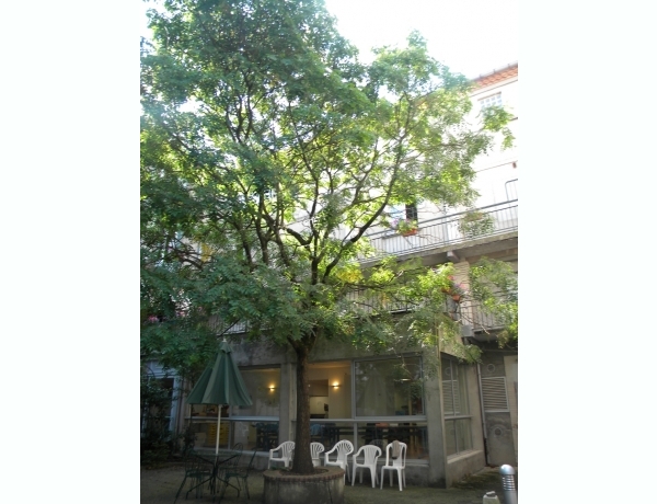 Photo 0