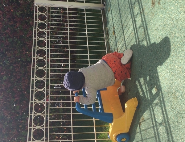 Photo 0