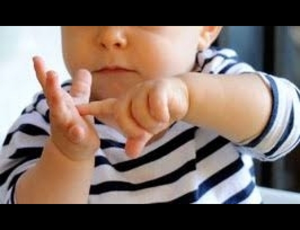 Photo 0