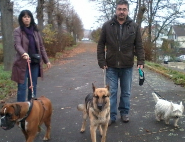 Photo 0