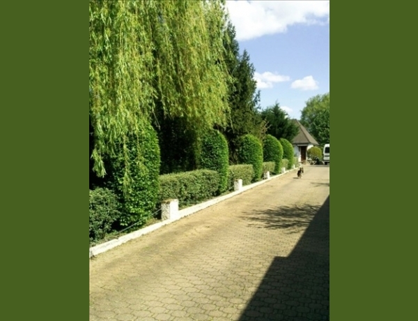 Photo 0