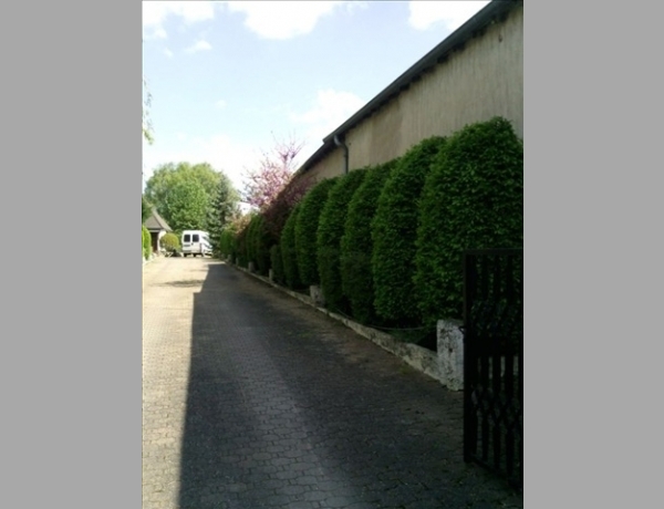 Photo 0
