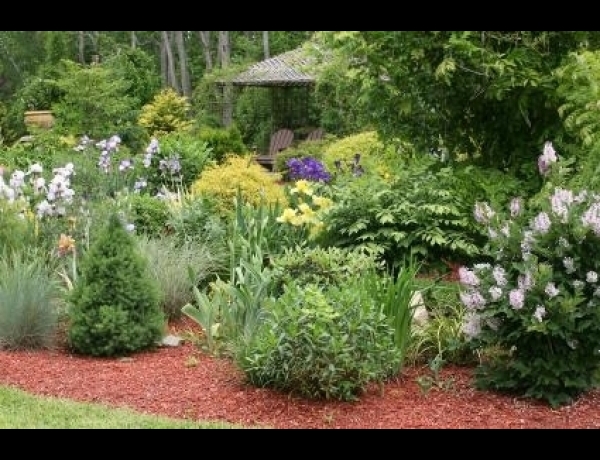 Photo 0