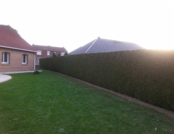 Photo 0