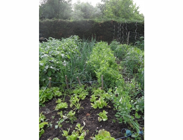 Photo 0