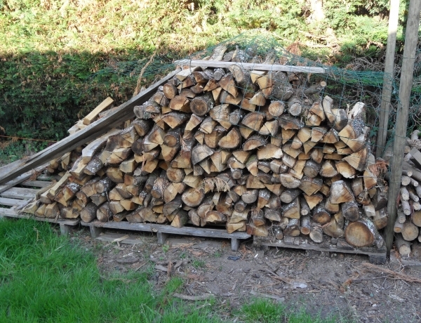 Photo 0