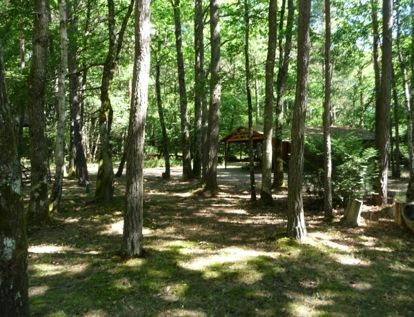 Photo 0