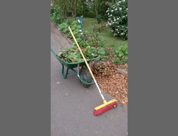 Photo 0