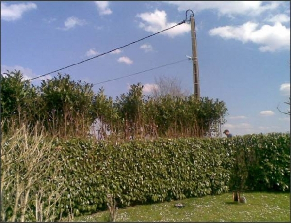 Photo 0