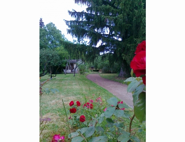 Photo 0