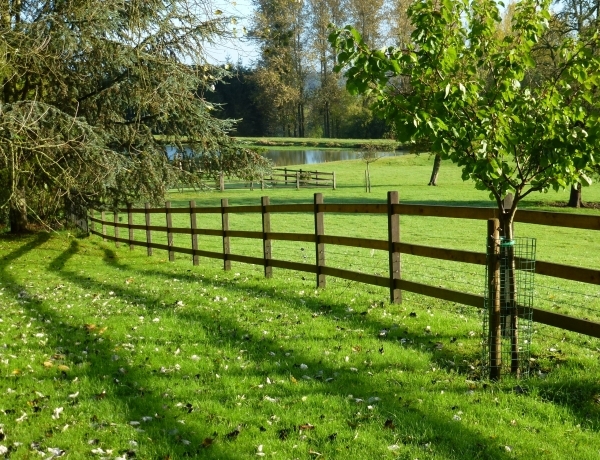 Photo 0