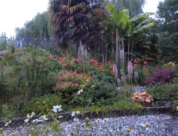 Photo 0