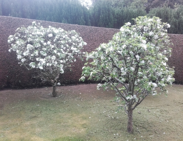 Photo 0