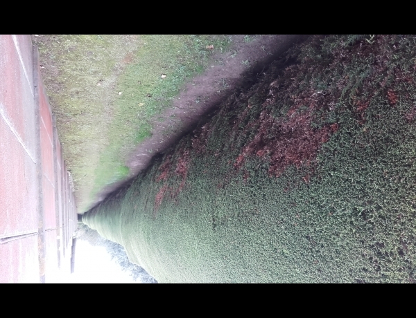 Photo 0
