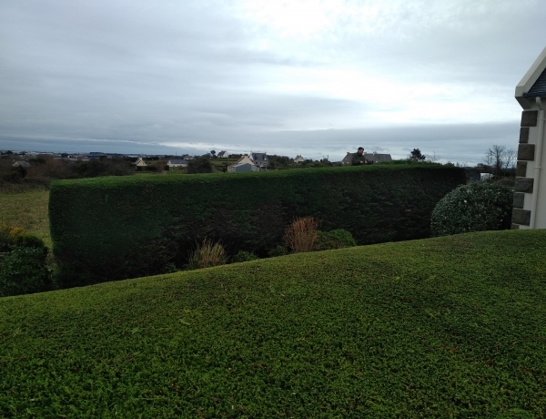 Photo 0