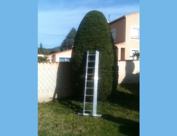 Photo 0