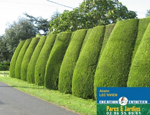 Photo 0