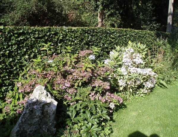 Photo 0