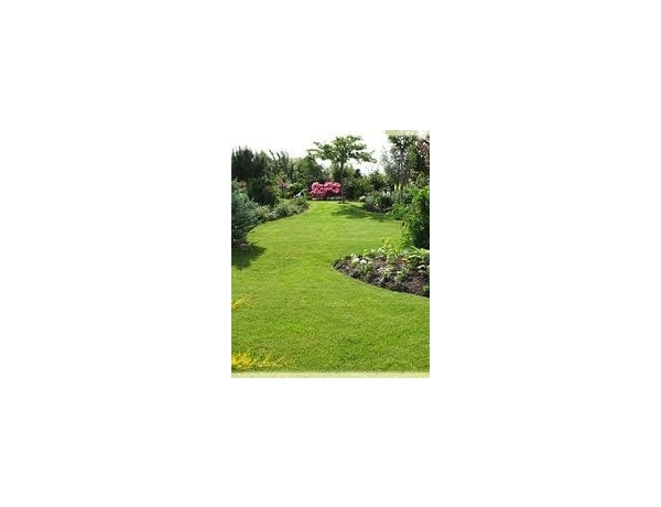 Photo 0