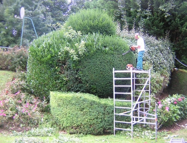 Photo 0
