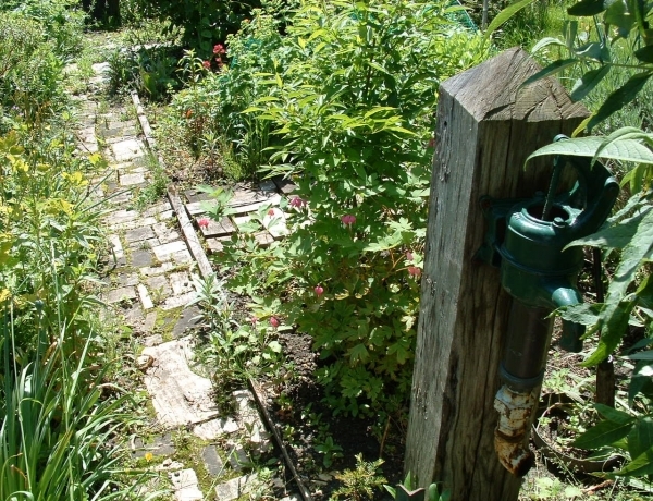 Photo 0