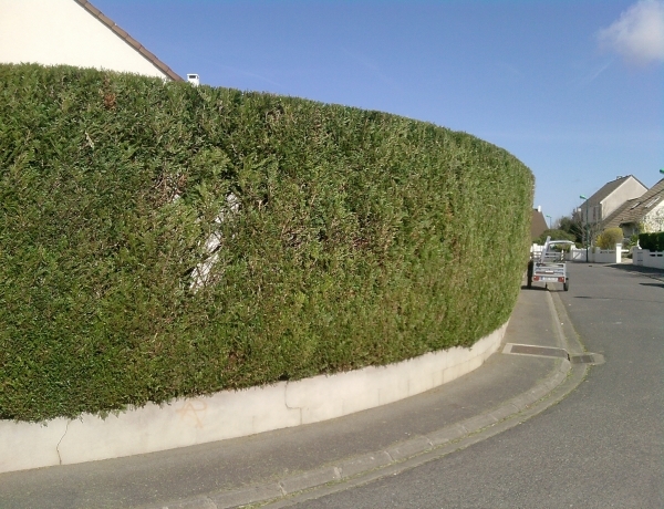Photo 0