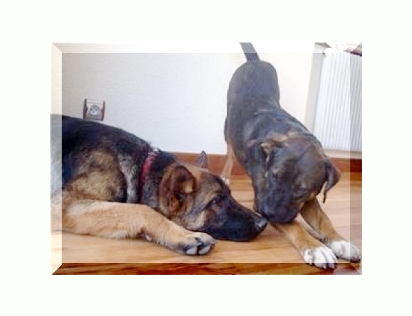 Photo 0