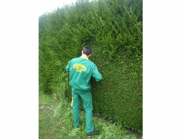 Photo 0