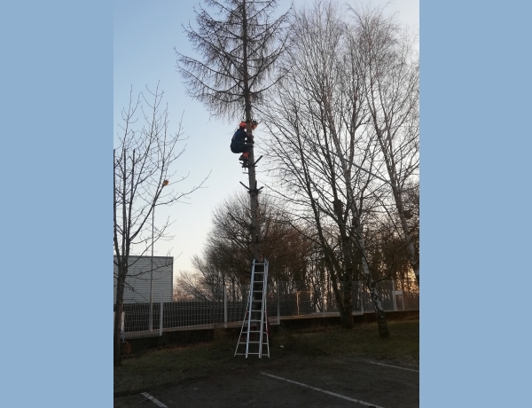 Photo 0
