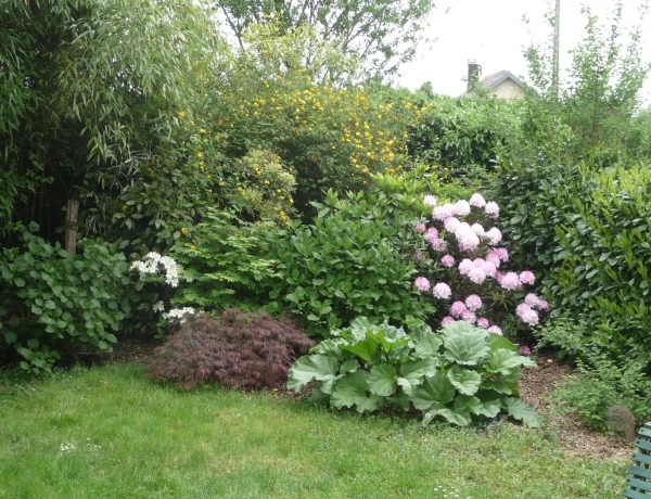 Photo 0