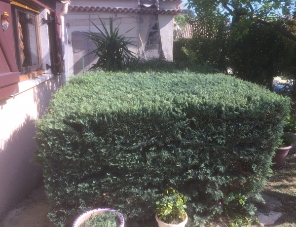 Photo 0
