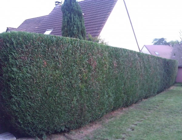 Photo 0
