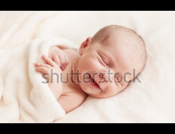 Photo 0