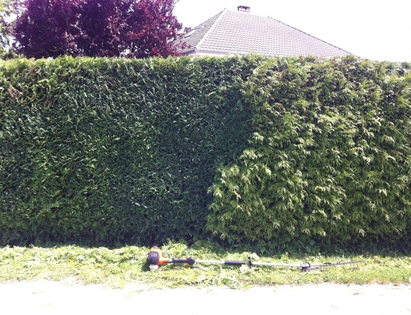 Photo 0