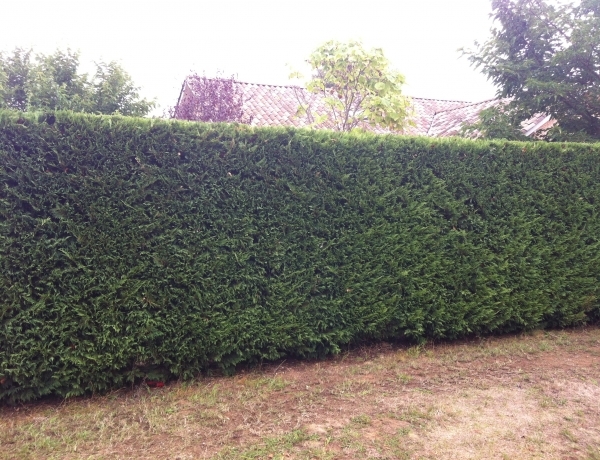 Photo 0