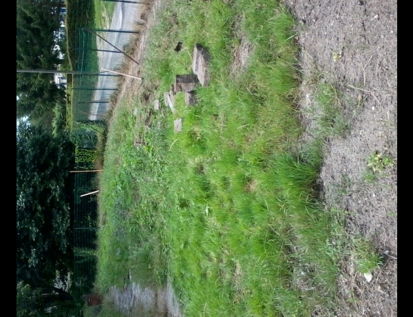 Photo 0
