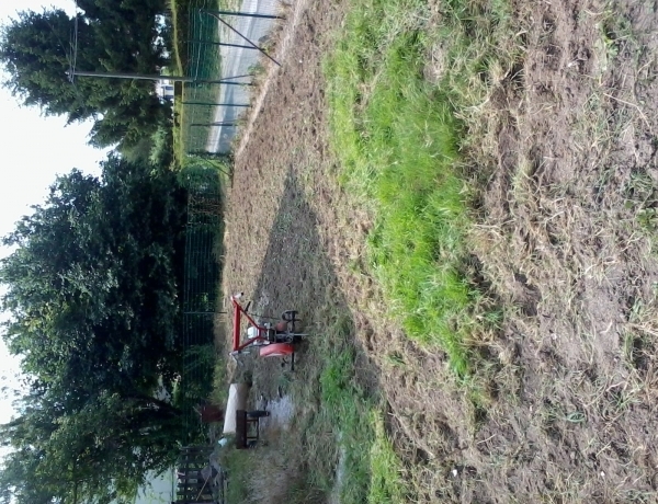Photo 0