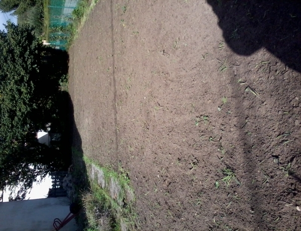 Photo 0