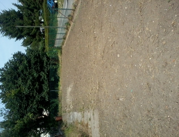 Photo 0