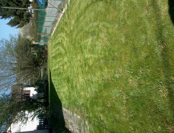 Photo 0