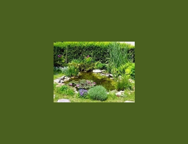 Photo 0