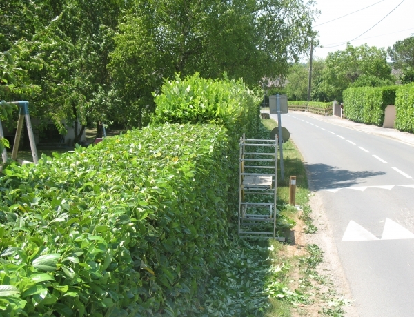 Photo 0