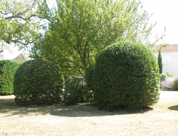 Photo 0