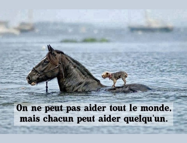 Photo 0