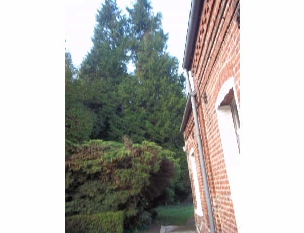 Photo 0