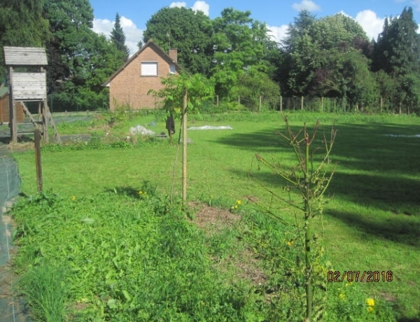 Photo 0