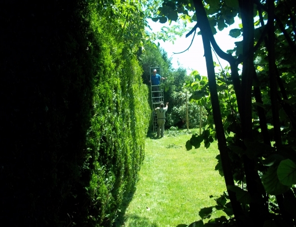Photo 0
