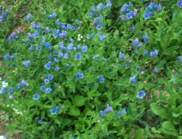Photo 0