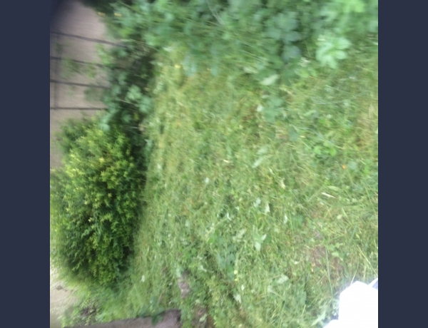 Photo 0